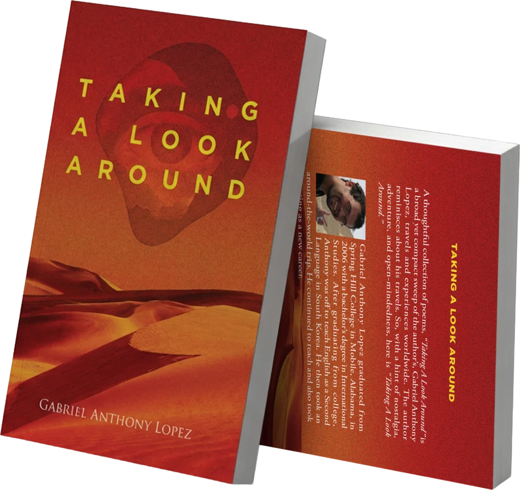 Cover of Taking A Look Around